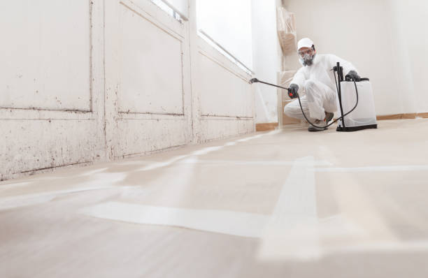 24/7 Emergency Mold Remediation experts in South Boston, MA